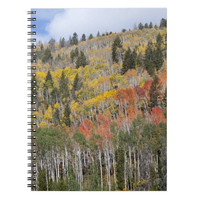 Caderno Espiral Rio Provo e árvores de álamo (Frente)