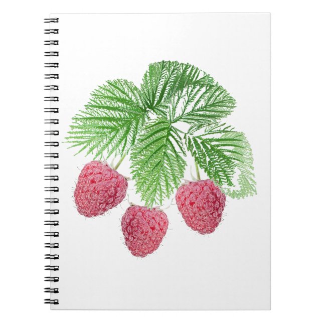 Caderno Espiral Ripas, bagas, framboesas (Frente)