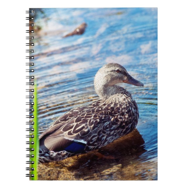 Caderno Espiral Ripples de Discagem (Frente)
