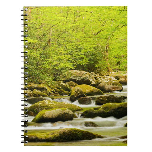 Caderno Espiral Roaring Fork na Primavera (Frente)