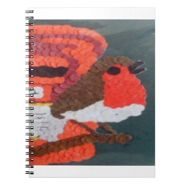 Caderno Espiral Robin (Frente)