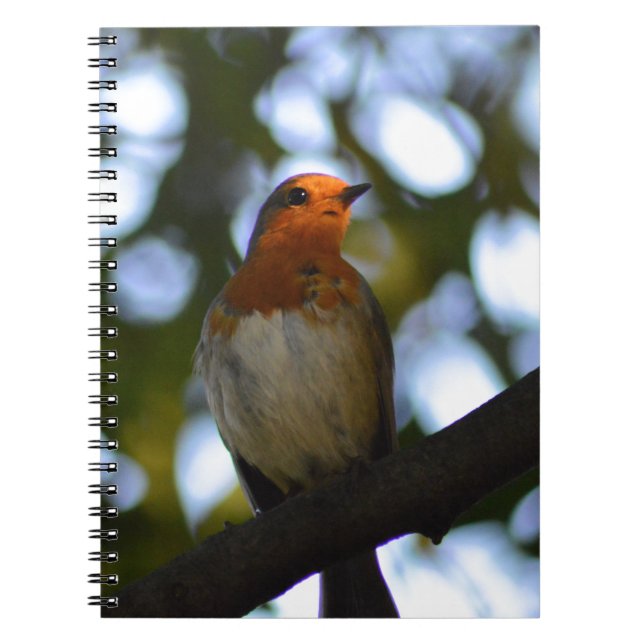 Caderno Espiral Robin (Frente)