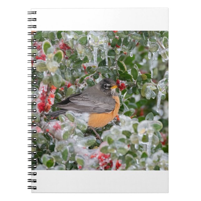 Caderno Espiral Robin no Natal (Frente)