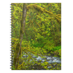 Caderno Espiral Rochas Musgosas E Árvores Liniam Eagle Creek
