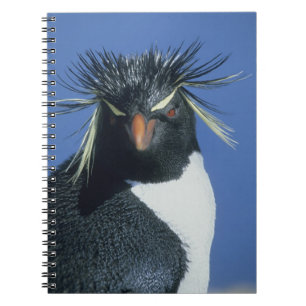 Caderno Espiral Rockhopper Penguin (Eudyptes chrysocome)
