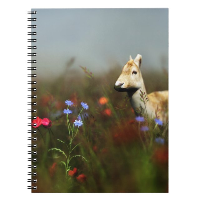 Caderno Espiral Roe em um notebook paralelo (Frente)