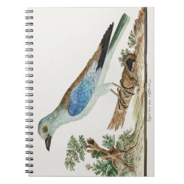 Caderno Espiral Rolante europeu