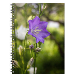 Caderno Espiral Romantic Trees & Flowers – Botanical Fantasy Boho