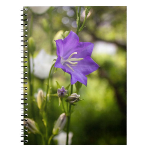 Caderno Espiral Romantic Trees & Flowers – Botanical Fantasy Boho (Frente)