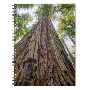 Caderno Espiral Roosevelt Grove