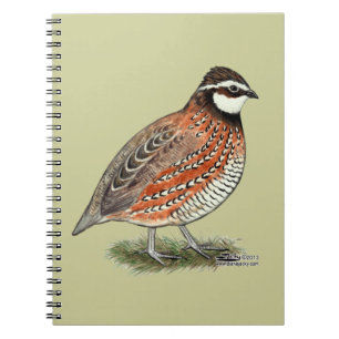 Caderno Espiral Rooster Bobwhite Quail