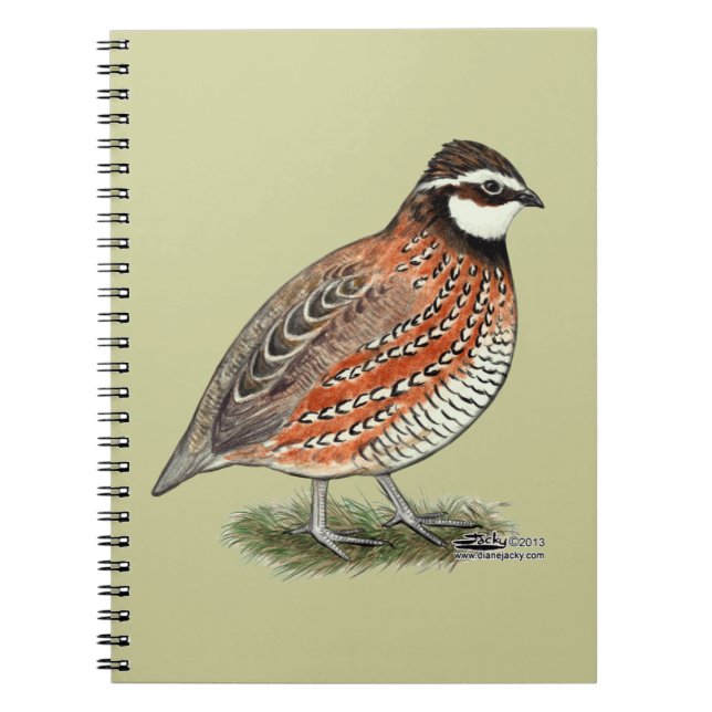 Caderno Espiral Rooster Bobwhite Quail (Frente)