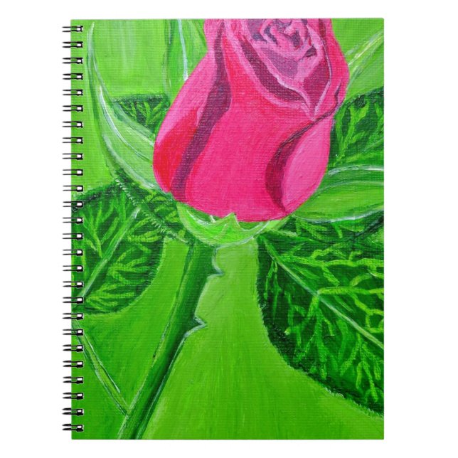 Caderno Espiral Rosa 1a (Frente)