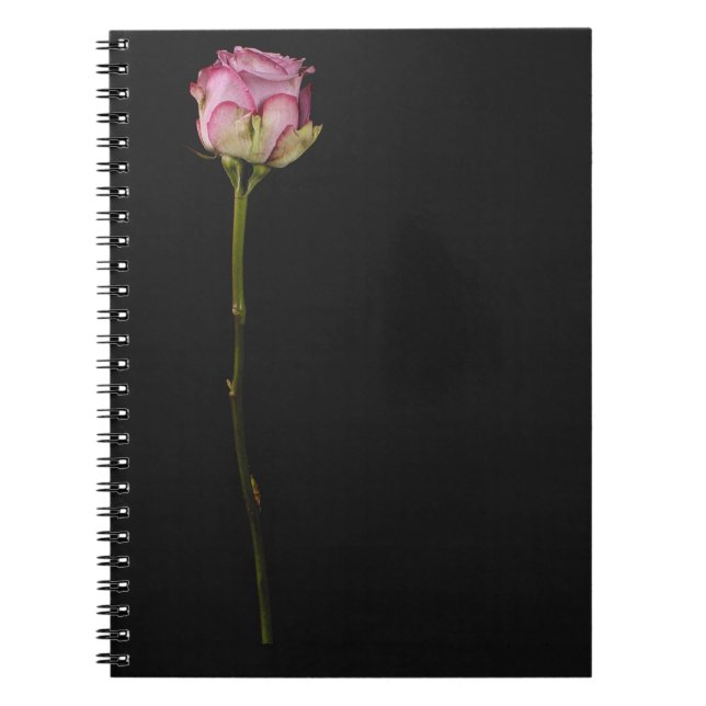 Caderno Espiral Rosa 3 do rosa (Frente)