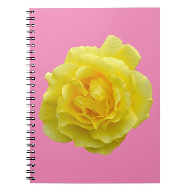 Caderno Espiral Rosa amarela (Frente)