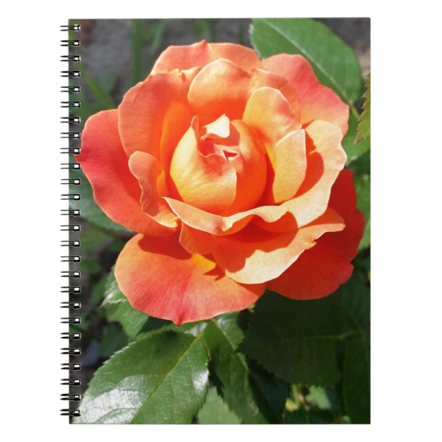 Caderno Espiral rosa amarelo brilhante (Frente)