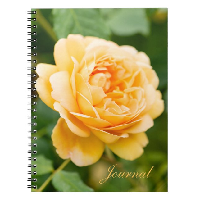 Caderno Espiral Rosa Amarelo-Laranja (Frente)