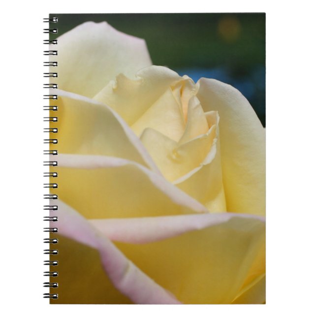 Caderno Espiral Rosa Amarelo-Pálida Flor Natureza (Frente)