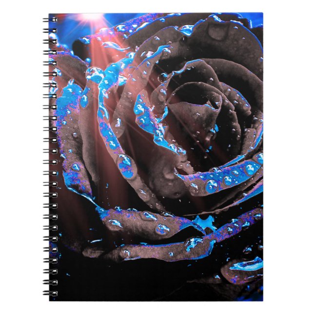 Caderno Espiral Rosa azul (Frente)