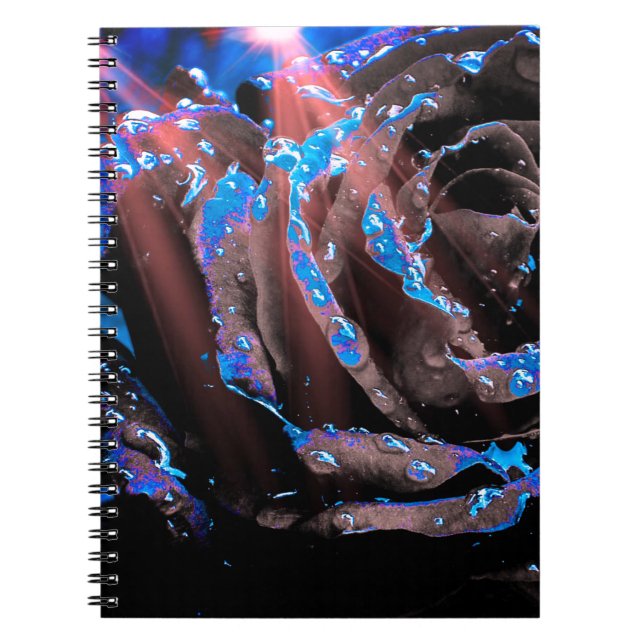 Caderno Espiral Rosa azul (Frente)