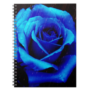Caderno Espiral Rosa Azul Dramático