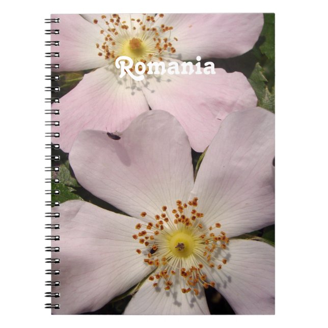 Caderno Espiral Rosa de cão (Frente)
