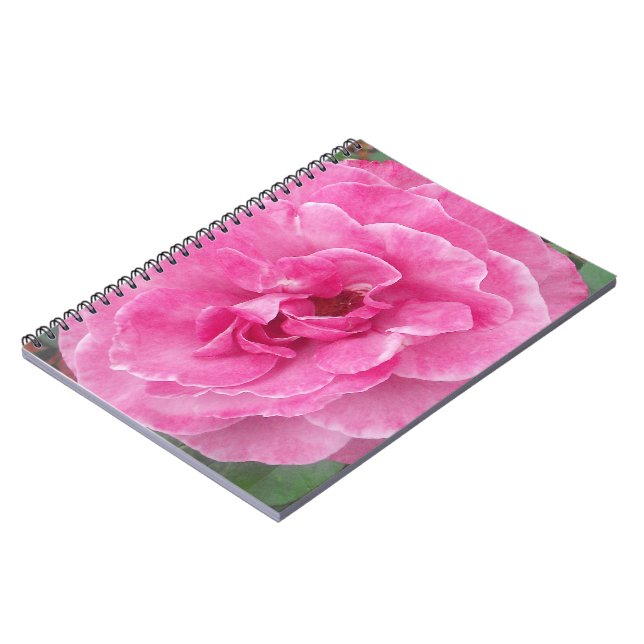 Caderno Espiral Rosa de Jardim Rosa (Left Side)