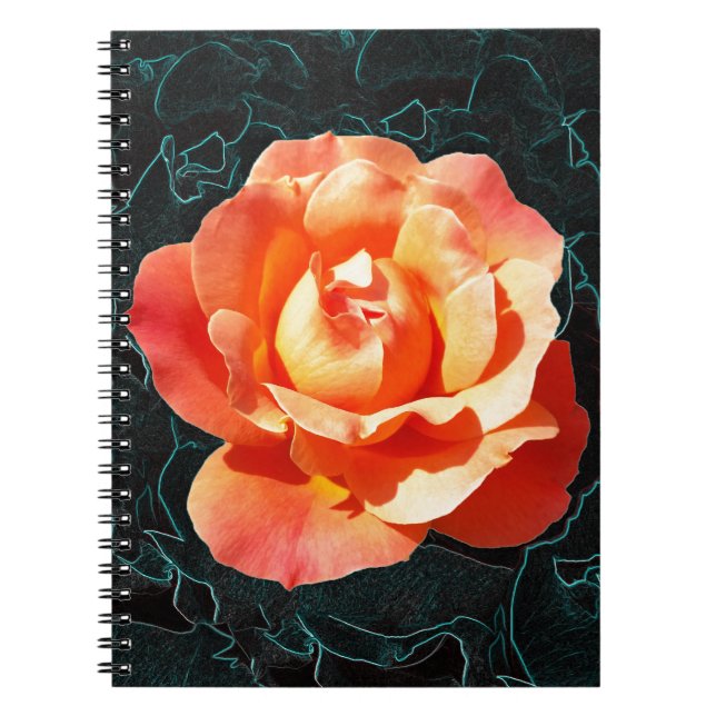 Caderno Espiral Rosa de laranja claro (Frente)