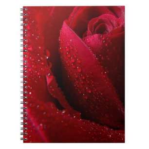 Caderno Espiral Rosa de Macro Vermelho com Gotas de Água