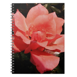 Caderno Espiral rosa de pêssego e colírio