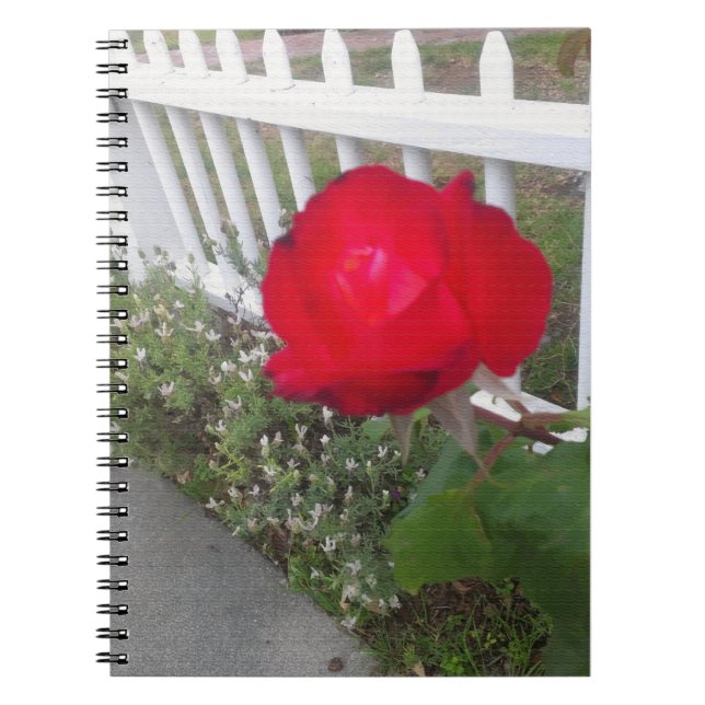 Caderno Espiral Rosa de Solo Vermelho (Frente)