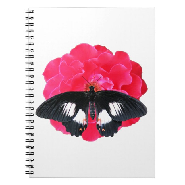 Caderno Espiral Rosa e Swallowtail (Frente)