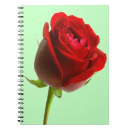 Caderno Espiral Rosa e verde