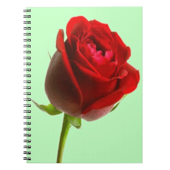 Caderno Espiral Rosa e verde (Frente)