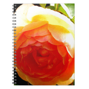 Caderno Espiral Rosa floral de damasqueiro amarelo-esguicho