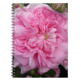 Caderno Espiral Rosa floral Flores Rosa Vintage cor-de-rosa