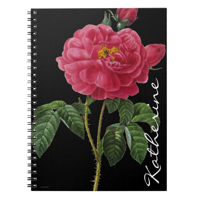 Caderno Espiral Rosa Gallica (Frente)