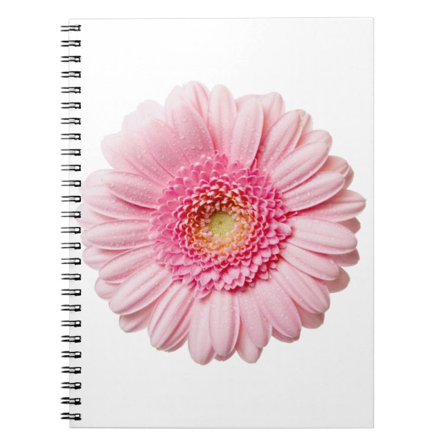 Caderno Espiral Rosa Gerbera Daisy (Frente)