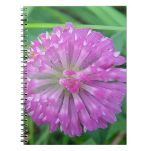 Caderno Espiral Rosa Kleeblüte