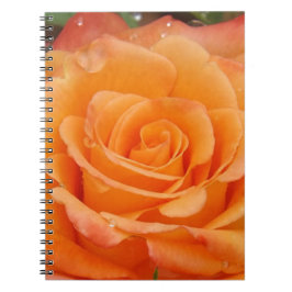 Caderno Espiral Rosa laranja