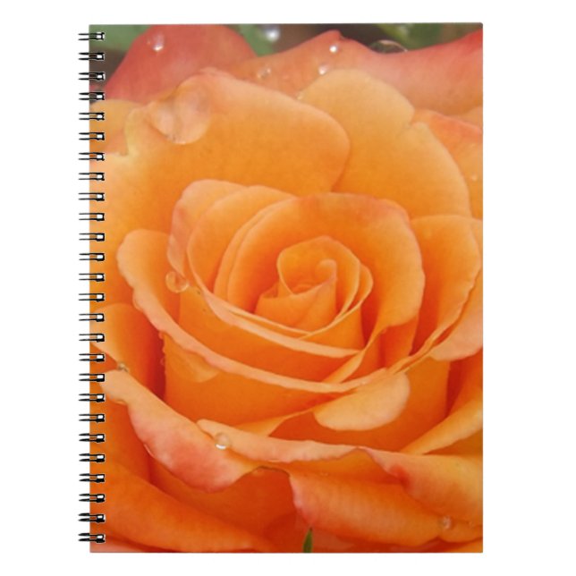 Caderno Espiral Rosa laranja (Frente)