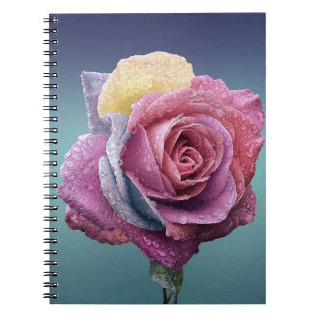 Caderno Espiral Rosa multicolor (Frente)