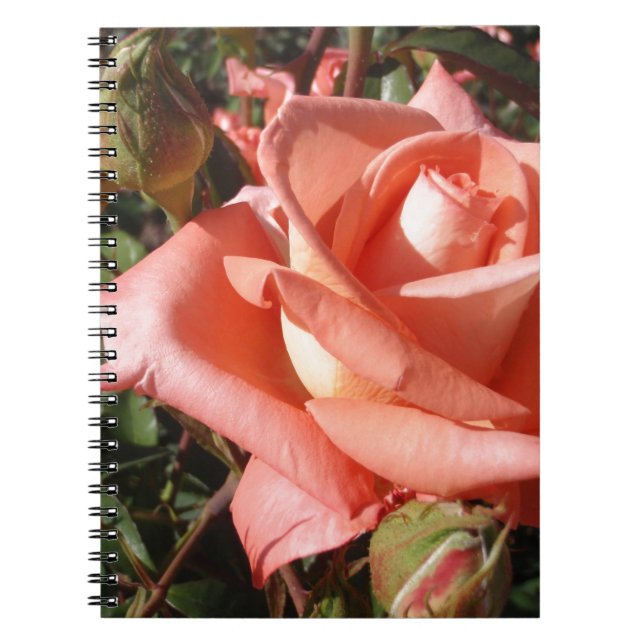 Caderno Espiral Rosa Rosa Cor-de-Pêssego (Frente)