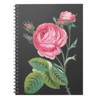 Caderno Espiral Rosa rosa floral moderno