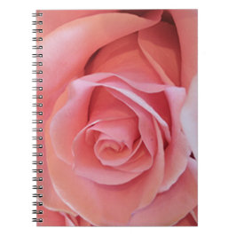 Caderno Espiral Rosa Rosa Rosa