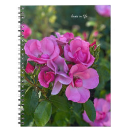 Caderno Espiral Rosa Rosa Rosa lavanda