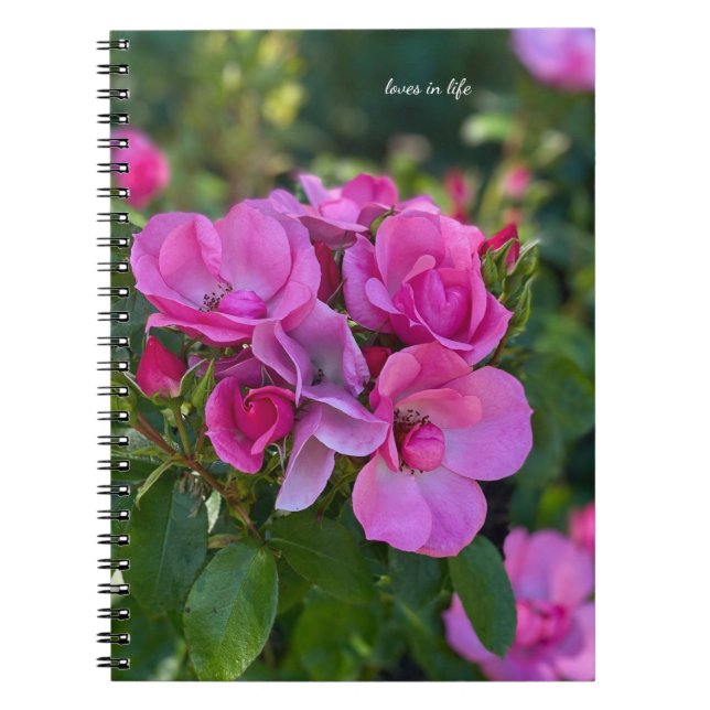Caderno Espiral Rosa Rosa Rosa lavanda (Frente)