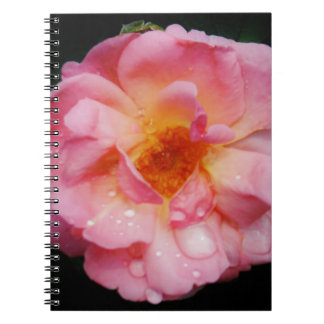 Caderno Espiral Rosa Rosa Rosa Rosa Cor-de-Rosa com Guias Negras