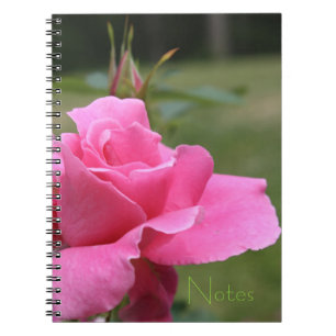 Caderno Espiral Rosa rosa-rosa-rosa-menina do jardim