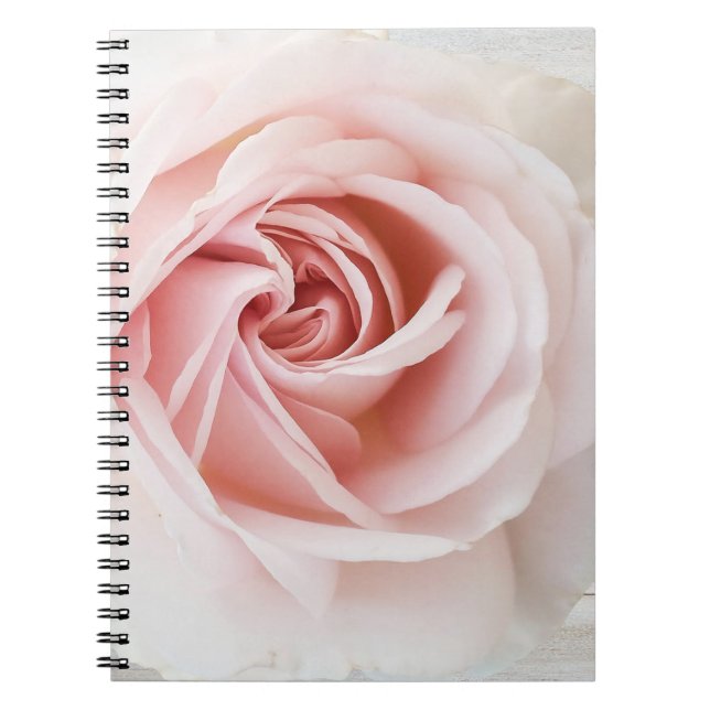 Caderno Espiral Rosa Rosa Rosa Rosa Rosa Rosa Rosa e Chique Branco (Frente)